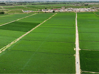 如何選擇一款經濟高效的以電折水設備？